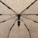 Armação Guarda-chuva